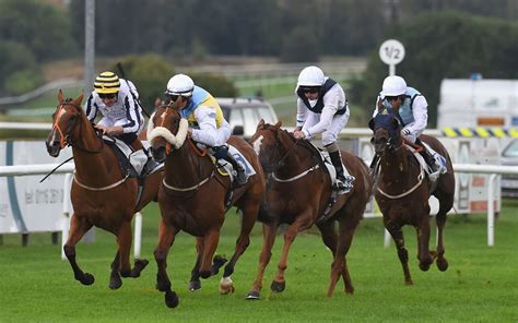 Latest Horse Racing Tips for Leicester .